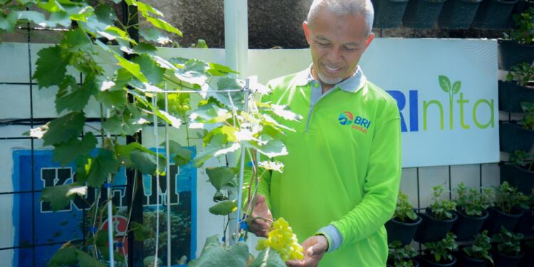 Didukung BRINita, Kelompok Tani Ini Sulap Lahan Terbengkalai Jadi Produktif