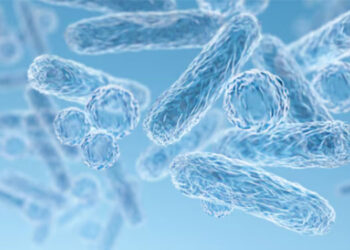 Namanya STSS, Kasus Infeksi Bakteri Mematikan yang Kini Tengah Melonjak di Jepang