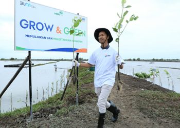 Fokus Jalankan Praktik Bisnis Berkelanjutan, BRI Masuk Dalam Daftar CNBC Indonesia Green Business Ratings 2024