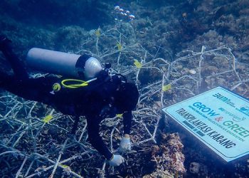 Maknai Hari Lingkungan Hidup Sedunia, BRI Pulihkan Ekosistem dan Lawan Perubahan Iklim Melalui Program BRI Menanam – Grow & Green