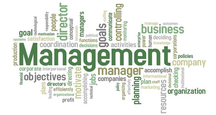 Sistem Pengendalian Manajemen pada PT HM Sampoerna Tbk