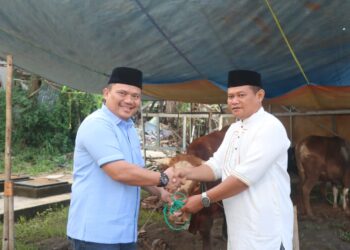 Idul Adha 1445 H, Polres Tangsel Bagikan 66 Hewan Kurban