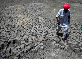 gelombang panas india