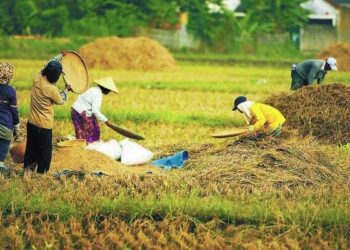 Membangun Ketahanan Pangan Nasional Melalui Agribisnis yang Berkelanjutan