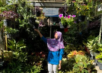 Klaster Bunga Bratang Binaan BRI di Surabaya, Kini Punya Tempat Usaha Nyaman dan Bisnis Terus Berkembang