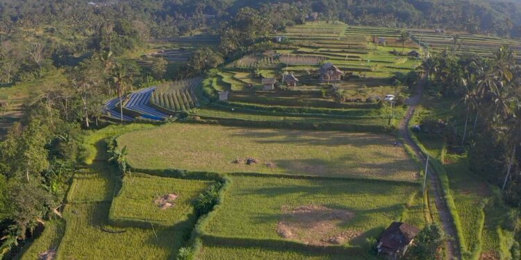 Mengenal Desa Angseri, Desa BRILiaN dengan Tata Kelola Terbaik