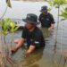 Upaya Nyata Menyelamatkan Lahan Kritis Akibat Abrasi, BRI Salurkan Ribuan Bibit Mangrove Kelompok Tani di Muaragembong