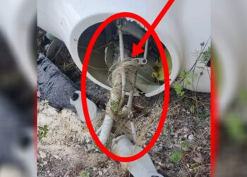 Benang Layangan Bikin Sebuah Helikopter Jatuh di Bali