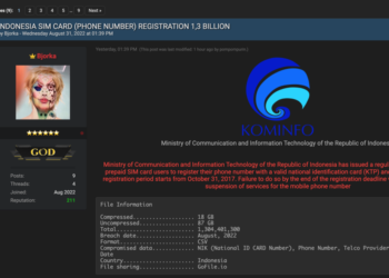 Wow! Viral di Media Sosial Data Kemenkominfo Diperjualbelikan Hampir Rp2 Miliar, Bikin Warganet Geram