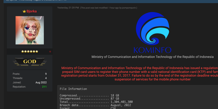 Wow! Viral di Media Sosial Data Kemenkominfo Diperjualbelikan Hampir Rp2 Miliar, Bikin Warganet Geram