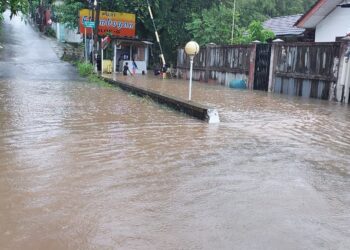 Hujan Deras, Sejumlah Wilayah di Tangsel Tergenang