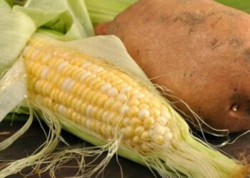 Penderita Diabetes Sebaiknya Jangan Konsumsi Lima Sayuran Ini