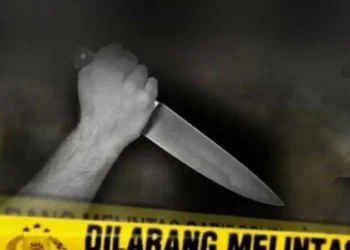 Seorang WNI Tewas Ditikam Pakai Pisau Dapur di Amerika