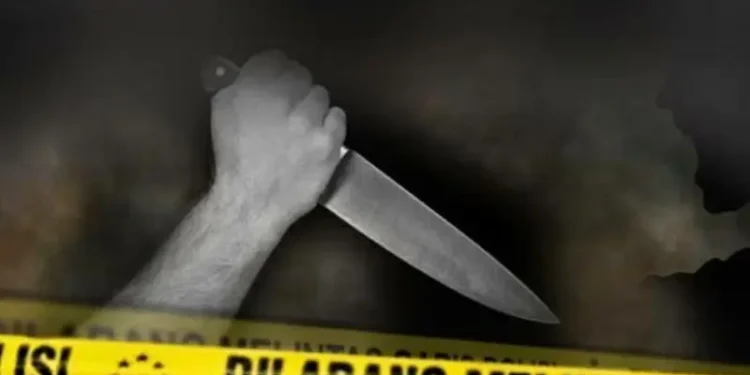 Seorang WNI Tewas Ditikam Pakai Pisau Dapur di Amerika
