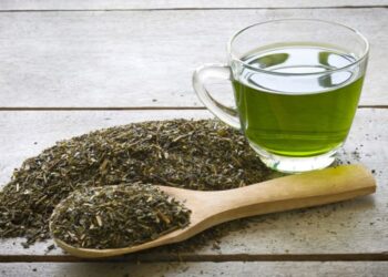 Enam Minuman Ini Bikin Lemak Terhempas, Sangat Dianjurkan Bagi yang Lagi Diet