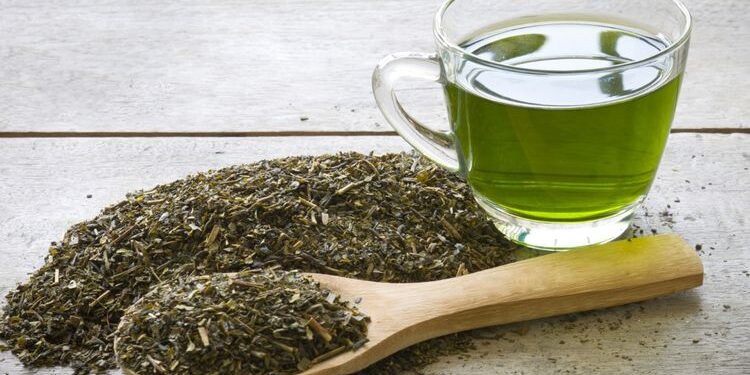 Enam Minuman Ini Bikin Lemak Terhempas, Sangat Dianjurkan Bagi yang Lagi Diet