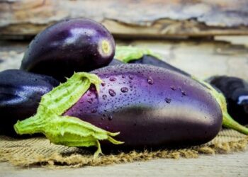 Berbahaya, Tiga Jenis Sayuran Ini Dilarang Dimakan Mentah