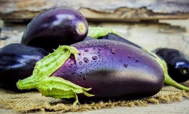 Berbahaya, Tiga Jenis Sayuran Ini Dilarang Dimakan Mentah