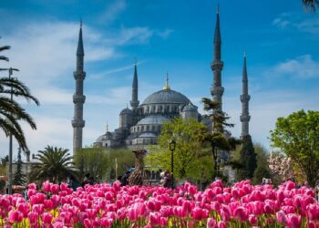 festival bunga tulip di turki