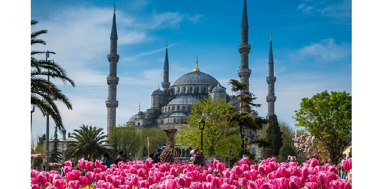 festival bunga tulip di turki