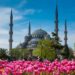 festival bunga tulip di turki