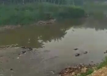 penemuan tujuh mayat di kali bekasi