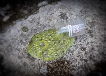 Belasan Pelaku Penyiraman Air Keras di Jombang Diciduk Polsek Pondok Aren