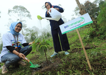 Berbagai Program BRI untuk Mendukung Net Zero Emission di 2050