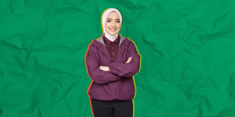 disway ais anis