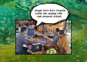 disway machmud algae