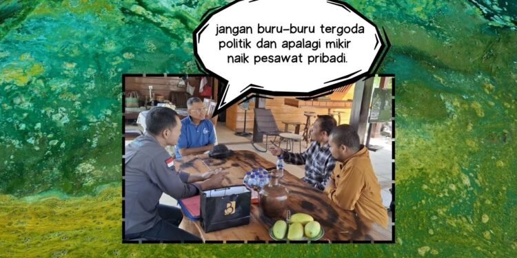 disway machmud algae