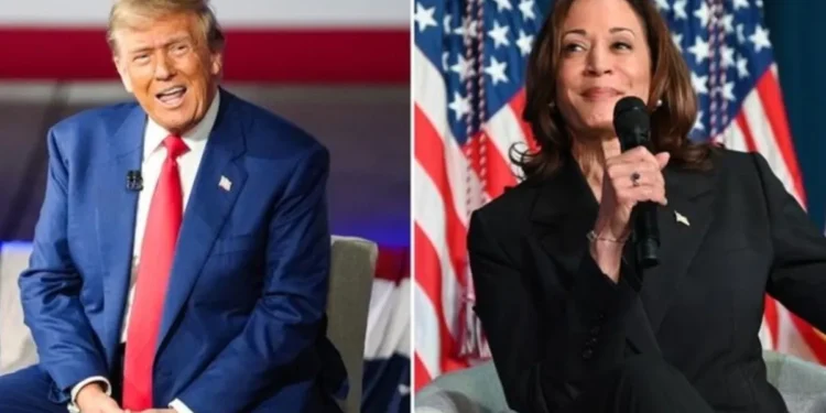 Dua Pekan Bersaing, Posisi Pendukung Harris-Trump Imbang