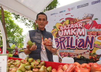 Kisah Pengusaha Jambu di Kudus, Sukses Kembangkan Usaha Berkat Pemberdayaan BRI