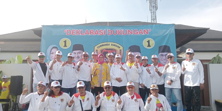 Hadir di Acara Deklarasi, Airin Apresiasi Relawan Cobra yang Konsisten Mendukung Dirinya