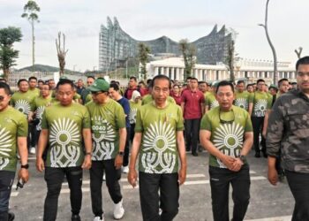 disway dada punggung