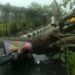 Tangsel Dilanda Hujan Disertai Angin Kencang, Pengendara Motor Tertimpa Pohon Tumbang