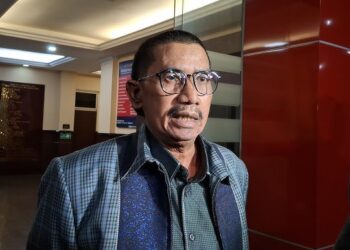 Vadel Bawa Saksi Baru dari Luar Negeri, Pengacara Nikita: Tidak Relevan