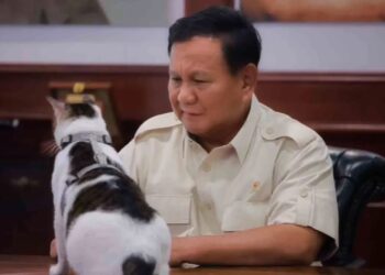 Bobby Kertanegara, Kucing Paling Beruntung Kesayangan Presiden Prabowo