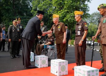 Peringati Hari Pahlawan, Pjs Wali Kota Tangsel Ajak Generasi Muda Bangkitkan Semangat Nasionalisme