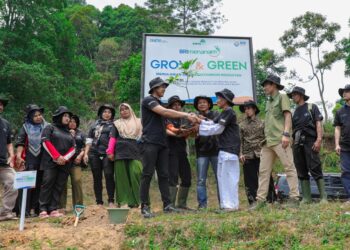 Pulihkan Hutan Bekas Tambang, Aksi Nyata Kelompok Tani Selamatkan Lingkungan Bersama BRI Menanam-Grow & Green