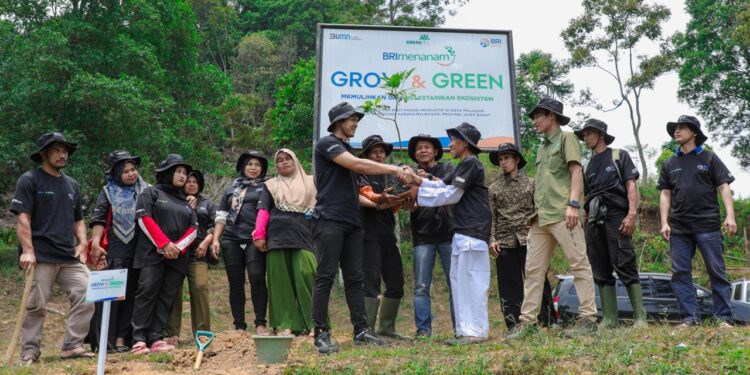 Pulihkan Hutan Bekas Tambang, Aksi Nyata Kelompok Tani Selamatkan Lingkungan Bersama BRI Menanam-Grow & Green