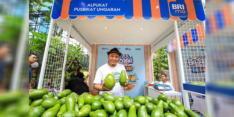 Berkat Program Pemberdayaan BRI Klasterku Hidupku, Petani Ini Berhasil Kembangkan Budidaya Alpukat