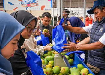 Diberdayakan BRI, Petani Mangga Bondowoso Mampu Perluas Lahan dan Tingkatkan Taraf Hidup