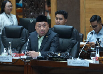 Yes, Komisi X Setujui Proses Naturalisasi Kevin Diks, Estella Loupattij dan Noa Leatomu