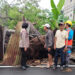 Pohon Tumbang Akibat Hujan Deras, Bhabinkamtibmas Pondok Cabe Ilir Turun ke Lokasi