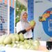 BRI Dukung Transformasi Pertanian Modern di Desa Bansari, Tingkatkan Produktivitas dan Kesejahteraan di Pedesaan