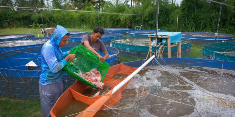 Lewat Pembiayaan dan Pemberdayaan, BRI Sukseskan Program Makan Bergizi Gratis