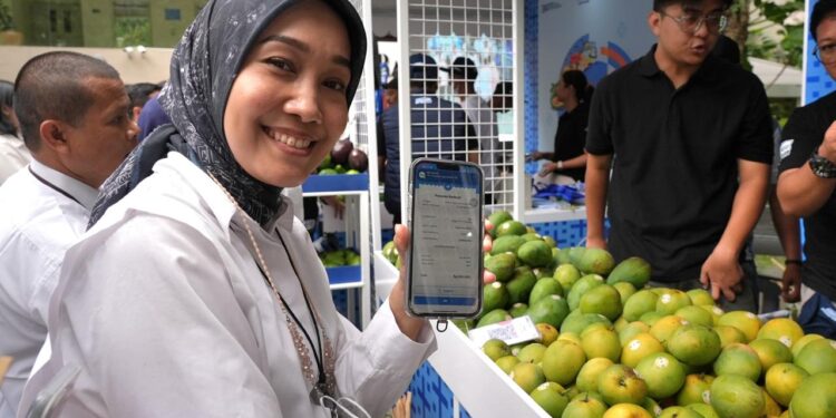 Kelompok Petani Jeruk di Curup Bengkulu Jangkau Pasar Lebih Luas Berkat Pemberdayaan BRI