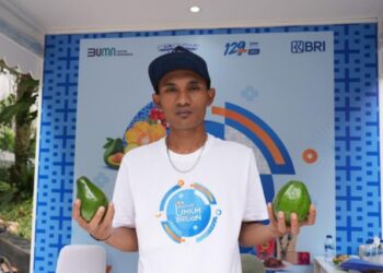 Program Klasterku Hidupku BRI Berhasil Berdayakan Petani Alpukat di Probolinggo, Intip Kisahnya!