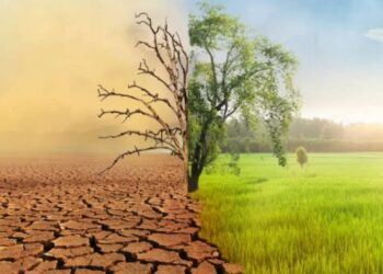 Perubahan Iklim: Tantangan Global dan Solusi Menuju Masa Depan Berkelanjutan 